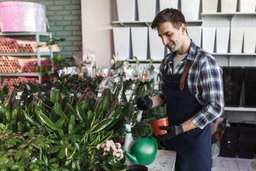 Young worker in blue apron at Botanical Garden plant flowers in a pot and water it.